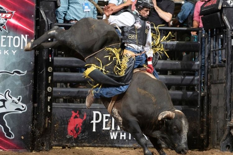 FILE-Amadeu Campos Silva (Brasil) menunggangi banteng Yippee High Cowboy di Grand Rapids, Michigan, Agustus 2021. 