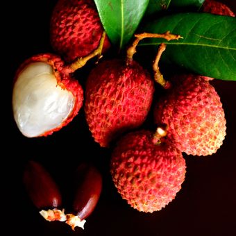 Ilustrasi buah leci, lychee.