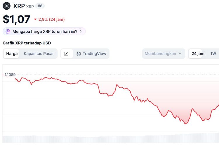 Harga XRP Hari Ini 25 Juni 2026, Terpapar Penurunan Bitcoin