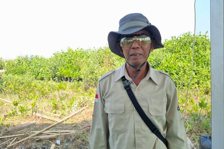 Sururi, pejuang lingkungan sekaligus pelestari mangrove dari Kecamatan Tugu, Kota Semarang, Jawa Tengah.