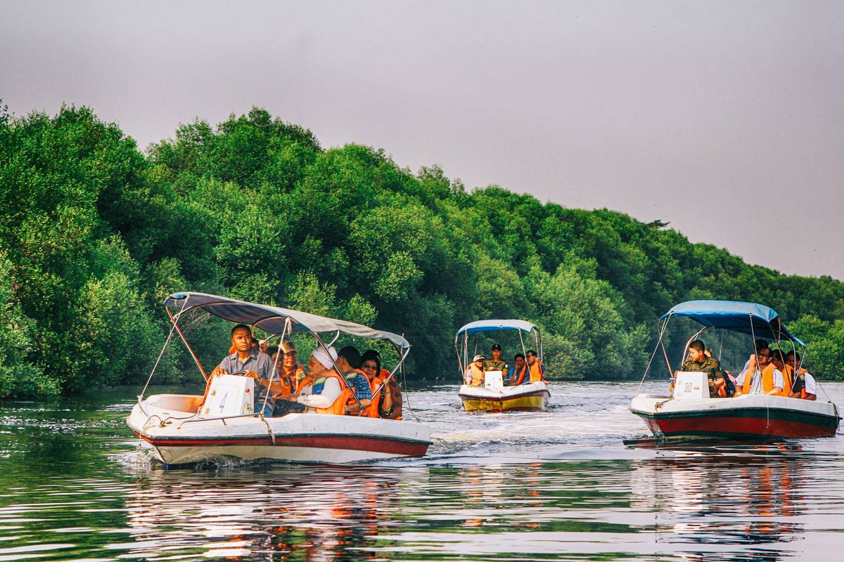 Tour Mangrove di Taman Wisata Alam (TWA) Mangrove Angke Kapuk, Jakarta Utara