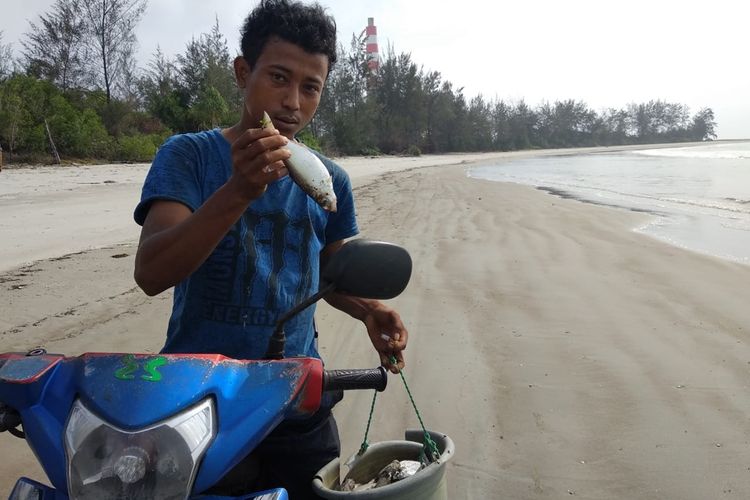 Ratusan ikan mati mendadak di dekat PLTU Bengkulu. Tampak salah seorang warga memunguti ikan yang ditemukan mati terdampar di dekat PLTU Bengkulu. 