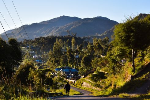 Pemekaran Papua: Membangun Kemandirian Daerah Otonom Baru