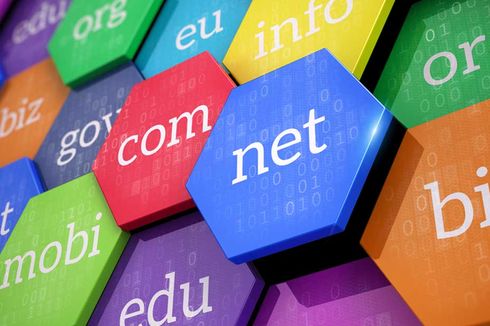 Perbedaan Domain .NET dan .COM pada Website 