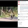 Video Viral Perempuan Berhijab Jatuh Usai Wheelie Pakai RX-King