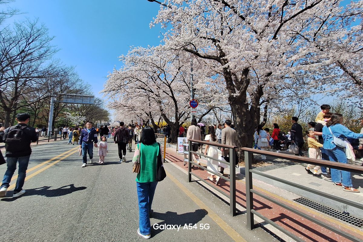 Hasil foto pemandangan Yeouido Hangang Park, Seoul, Korea Selatan dengan kamera ultrawide 12 MP Galaxy A54 5G. Hasilnya bagus dan jernih. Kamera mampu menangkap detail dan warna mendekati aslinya.