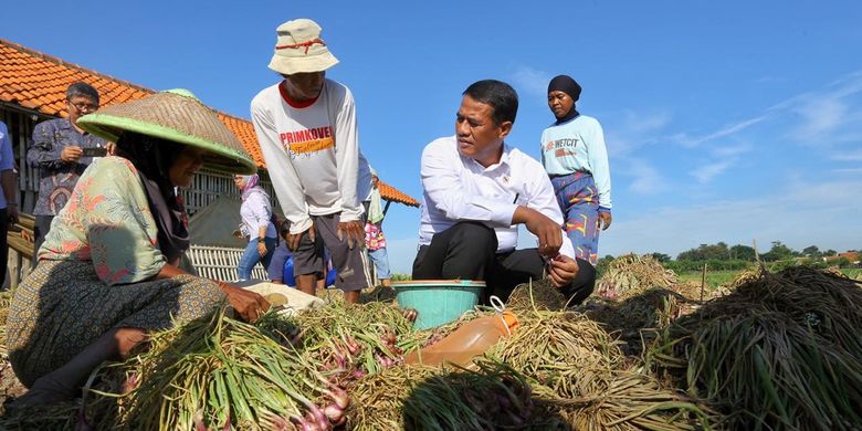 Menteri Pertanian (Mentan) Andi Amran Sulaiman saat mengunjungi petani bawang merah di Kabupaten Brebes, Jawa Tengah, Jumat (29/03/2019)