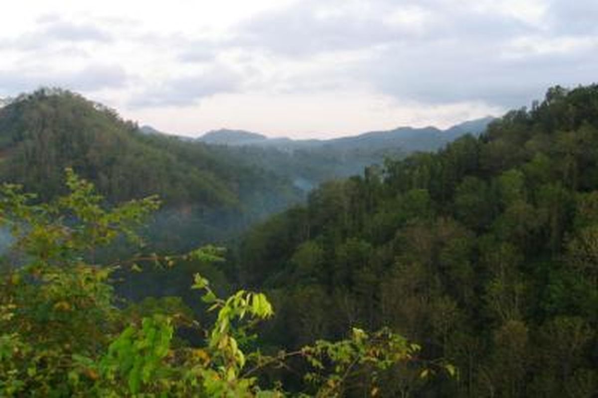 Foto kawasan Suaka Margastwa Sermo.