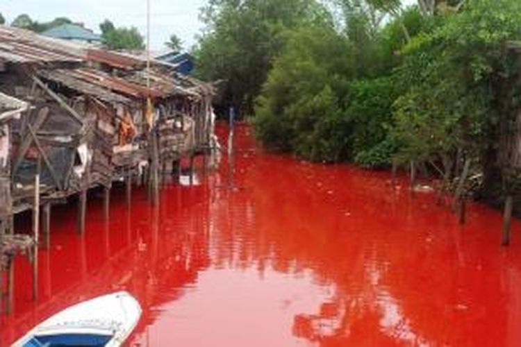 Warga Bontng Kaltim, Digemparkan dengan Fenomena Air Laut yang Memerah