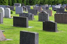 Terekam Berhubungan Seks di Kuburan, Pasangan Ini Tak Peduli