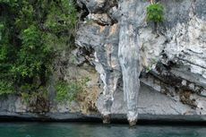 Berbentuk Penis, Ini Mitos di Balik Tugu Kemaluan Raja Ampat