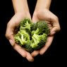 Jaga Kesehatan Saluran Cerna dengan Rutin Makan Brokoli