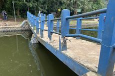 Jembatan Situ Gede Hampir Ambruk, Warga Harus Bergantian untuk Menyeberang