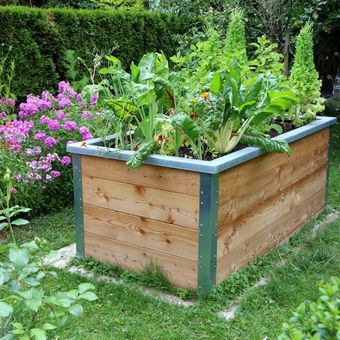 Ilustrasi bak tanaman atau raised garden beds.