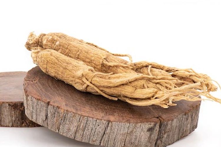 Ilustrasi ginseng