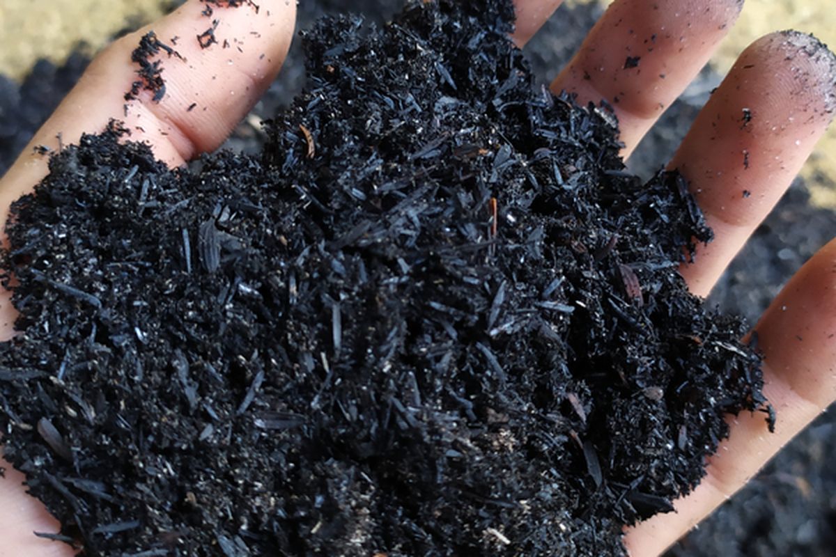 Ilustrasi arang sekam untuk media tanam. 