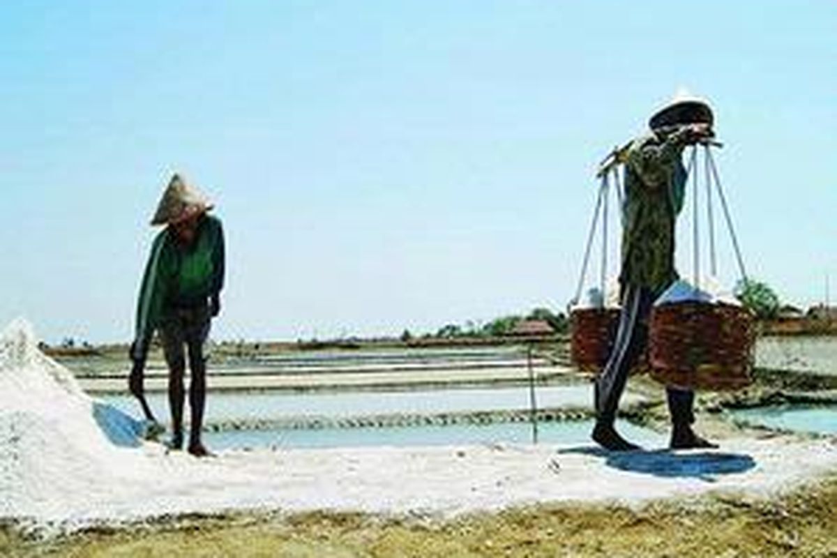 Ilustrasi: Buruh tani garam.