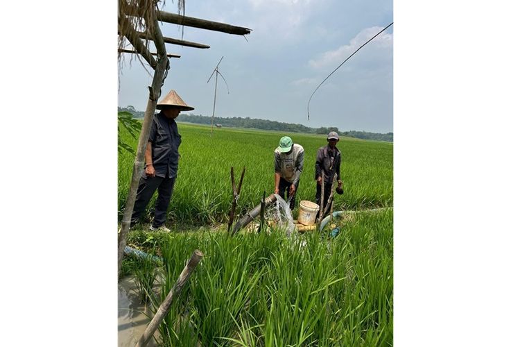 Kementan mendistribusikan beberapa pompa air di Desa Pasir dan Pagedangan Kecamatan Kronjo Kabupaten Tangerang, Banten, Minggu (25/8/2024).