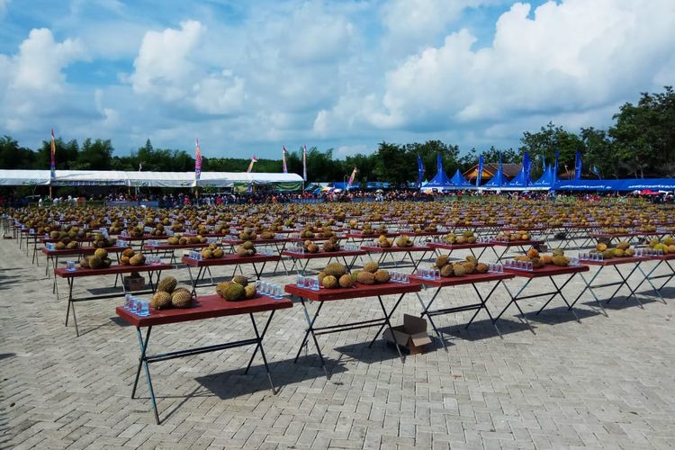 42 ribu durian disiapkan panitia dalam rangka acara makan durian gratis bersama Gubernur Kalsel, Sahbirin Noor, Sabtu (18/1/2020).