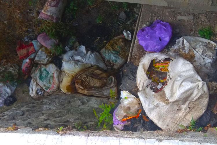 Sampah ayam yang dibuang di bawah jembatan Gemah, Desa Pacalan menebarkan aroma busuk di jalur menuju destinasi wisata telaga Sarangan.