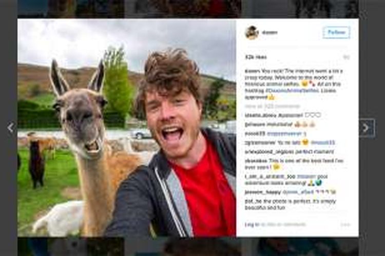 Fotografer asal Irlandia, Allan Dixon dibayar oleh Tourism Australia untuk selfie bareng binatang.