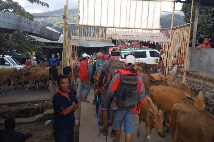 Sejumlah pendaki Gunung Rinjani yang terperangkap di Danau Segara Anak dan Pelawangan saat gempa di Lombok terjadi yang sudah berhasil turun, Senin (30/7/2018).