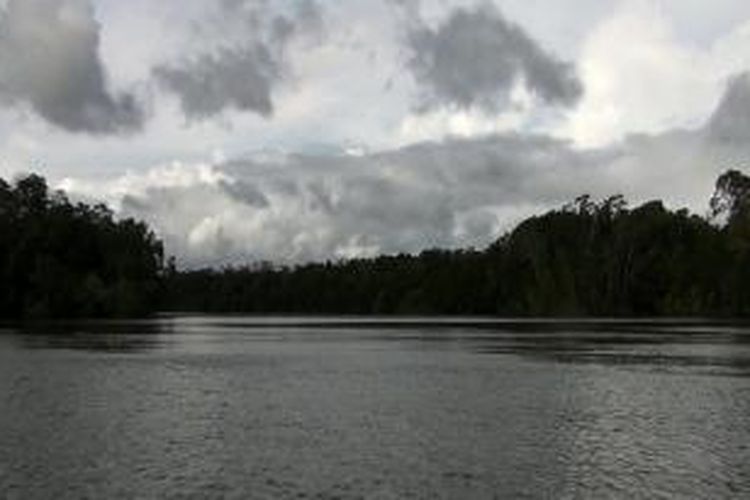 Kawasan Poumako di Distrik Mimika Timur, Kabupaten Mimika yang rencananya dijadikan lahan pembangunan smelter di Papua, merupakan daerah rawa dengan hutan bakau dan hutan dataran rendah.