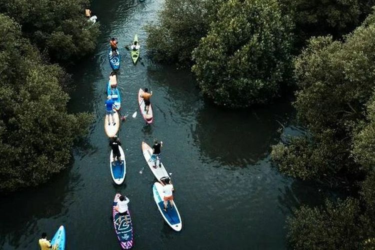 Wisata air di Taman Wisata Alam (TWA) Mangrove Angke Kapuk, Jakarta Utara