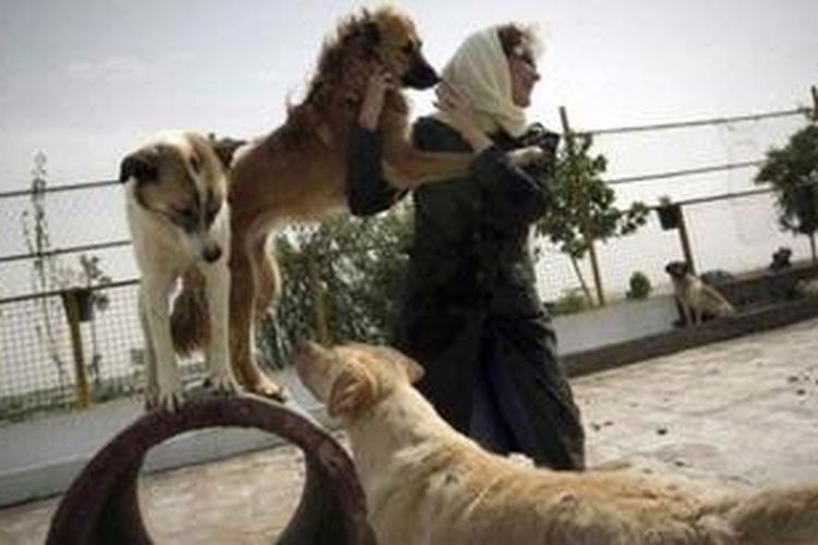 Pemerintah Iran melarang warganya memelihara anjing karena dianggap meniru kebudayaan Barat.