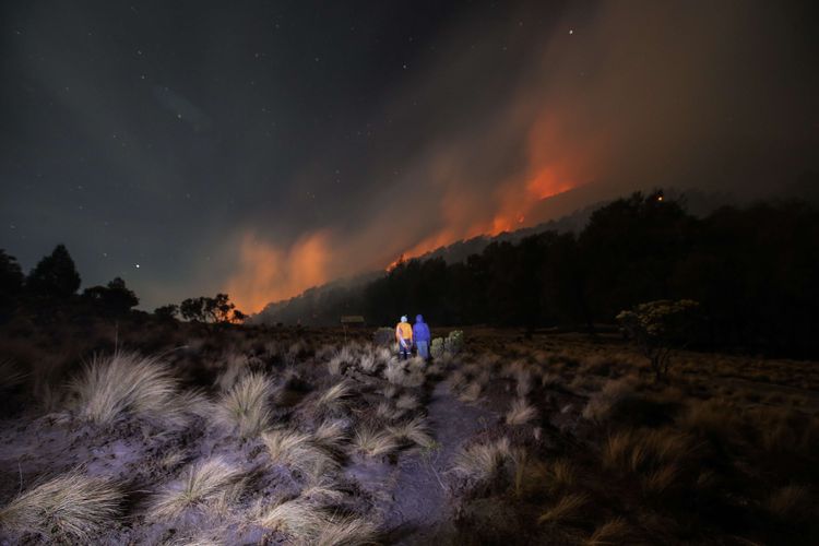 Petugas memantau kebakaran hutan yang melanda Gunung Semeru terlihat dari Kalimati, Lumajang, Jawa Timur, Kamis (19/9/2019). Akibat kejadian ini pendakian ke Gunung Semeru ditutup sementara.