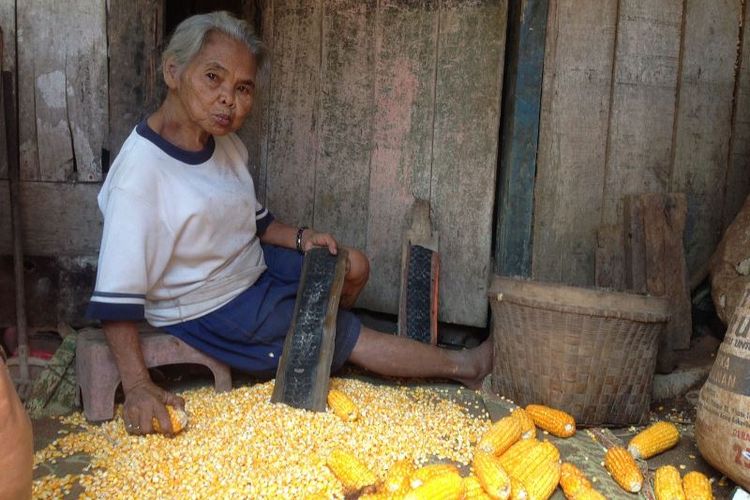 Mbah Karsi tinggal di gubuk tua di Kelurahan Timbrangan, Mijen, Semarang.