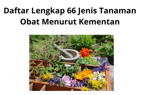 Daftar Lengkap 66 Jenis Tanaman Obat Menurut Kementan