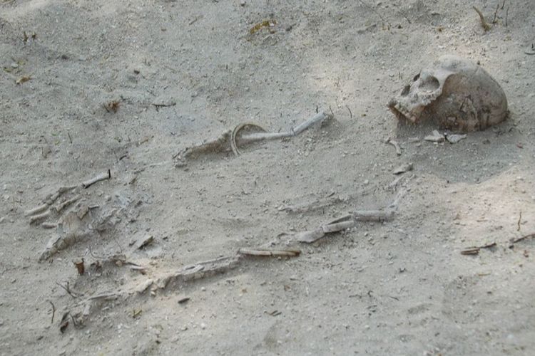 Foto: Tulang manusia yang ditemukan di Pesisir Painhaka, Desa Waibao, Kecamatan Tanjung Bunga, Kabupaten Flores Timur. 