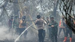 19 Pembakar Hutan di Riau Jadi Tersangka, Polisi: Pelaku Perorangan, Bukan Korporasi
