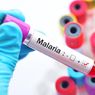 Dinkes Kota Yogyakarta Catat 39 Kasus Malaria, Ini Gejala-gejalanya