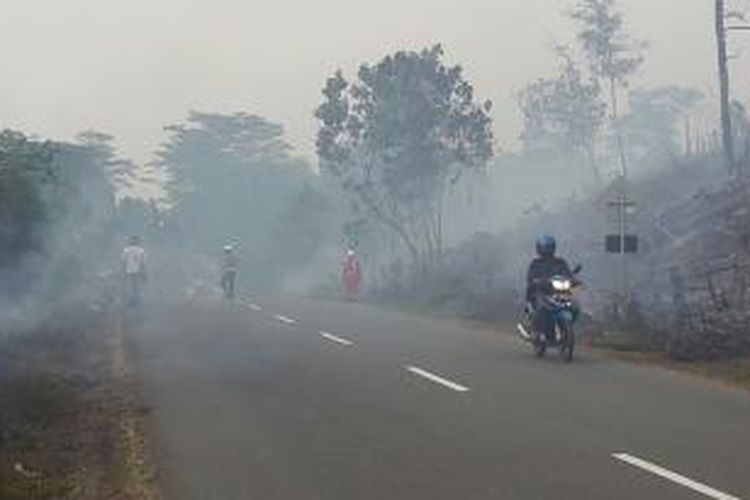 Kebakaran hutan di jalan soekarno hatta km 48 arah Balikpapan, Kalimantan Timur