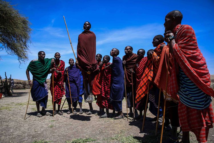 Aktivitas Suku Maasai di Area Konservasi Ngorongoro tepatnya berdekatan dengan Kawah Ngorongoro di Tanzania, Afrika Timur, (7/4/2019). Maasai adalah kelompok suku asli dari Afrika yang memiliki pola hidup semi-nomaden Tanzania. Mereka adalah salah satu kelompok suku Afrika Timur yang paling dikenal di dunia luar karena kebudayaannya yang unik serta karena mereka bertempat tinggal dekat dengan banyak cagar alam dan taman nasional di Afrika Timur.