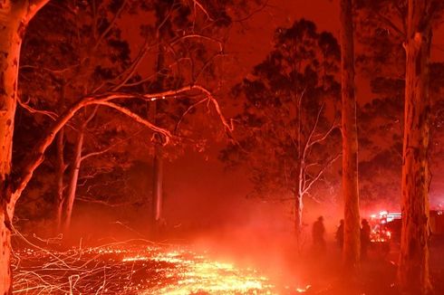 Kebakaran Besar Lalap Hutan Situs UNESCO Australia