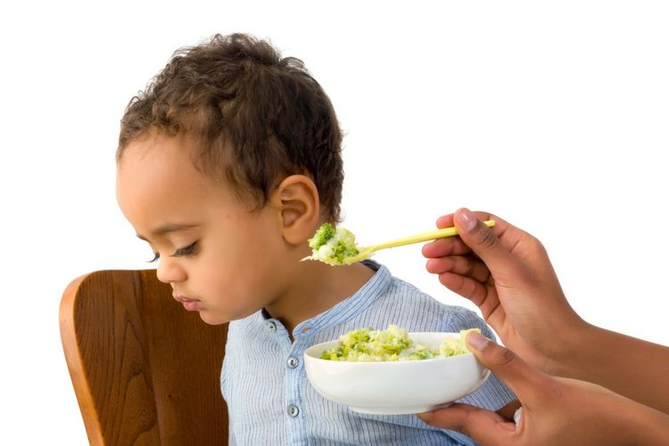 Ilustrasi anak mengemut makanan atau anak susah makan.