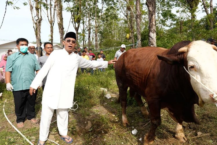 Warga Korban Banjir di Tapsel Dapat Kurban Sapi dari Prabowo-Gibran