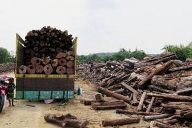 Warga Desa Pangkalan Gondai, Kecamatan Langgam, Kabupaten Pelalawan, Riau, mengangkut kayu-kayu bekas kebakaran hutan, Kamis (5/11). Kayu-kayu tersebut akan dikirim ke pabrik pembuatan batu bata untuk dijadikan bahan bakar.