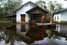 Kepala BNPB Tinjau Penanganan Banjir di Kalteng dan Kalbar