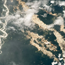 NASA Potret Sungai Emas di Amazon dari Luar Angkasa, Seperti Apa?