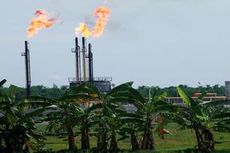 Saksi: Proses Bioremediasi Chevron Sesuai SOP