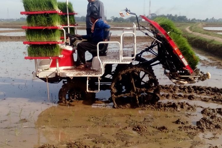 Transplanter Padi Yanmar AP4 sedang diuji coba di sawah di wilayah Karawang. Indonesia didorong untuk menjadi lumbung pangan dunia melalui studi pertanian oleh YARI-IPB.