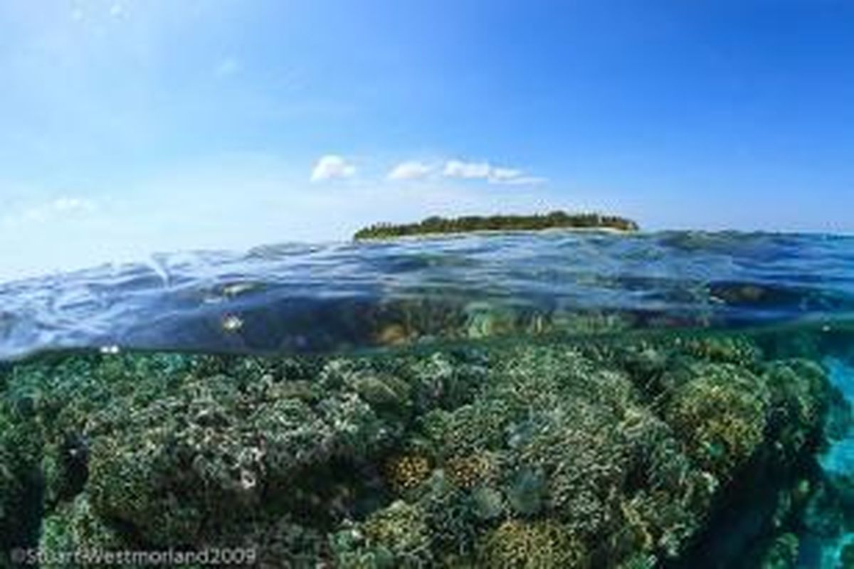 Pulau Kadola, Laut Banda.