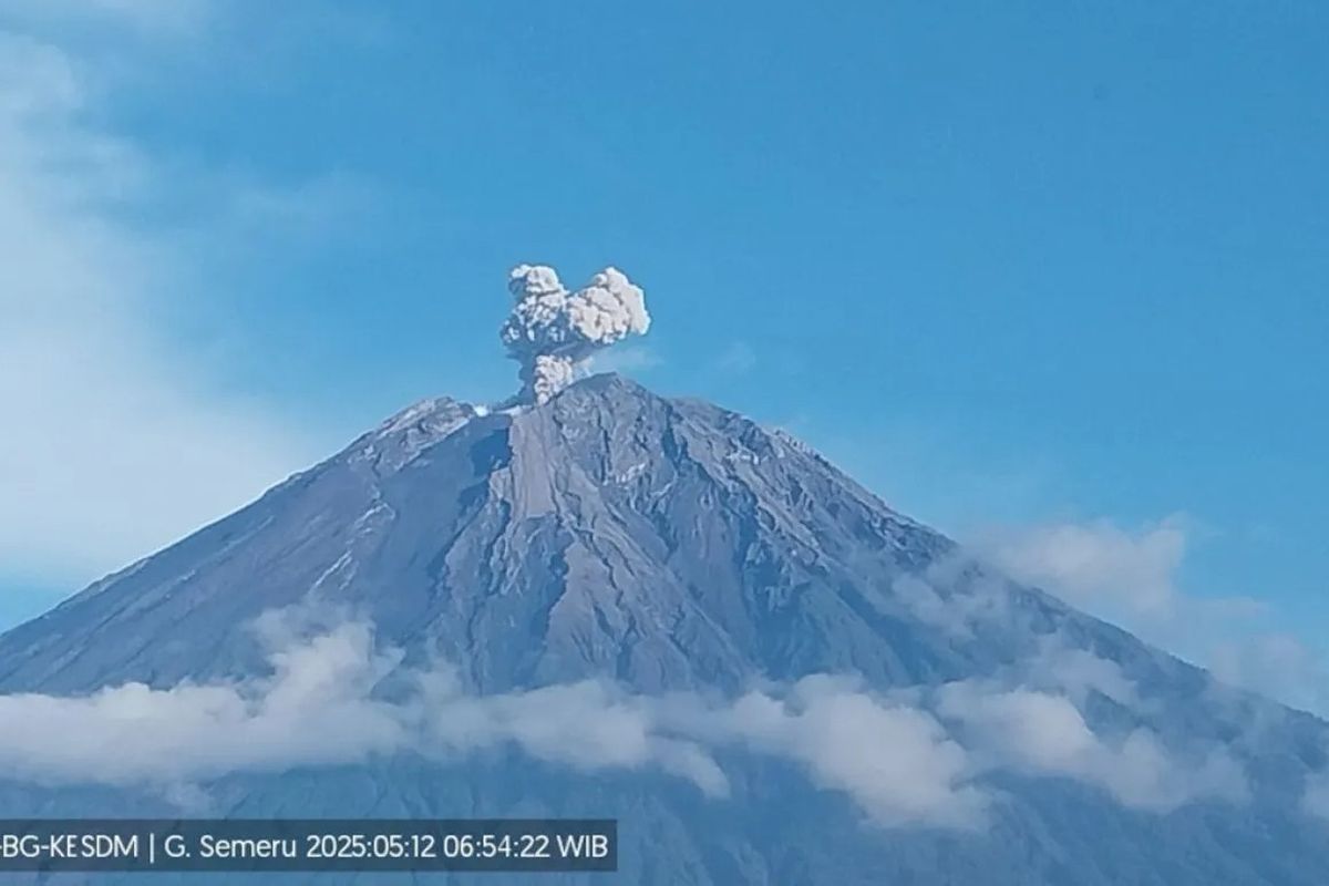 Gunung Semeru kembali erupsi dengan letusan setinggi 700 meter di atas puncak pada Senin (12/5/2025) pagi. 