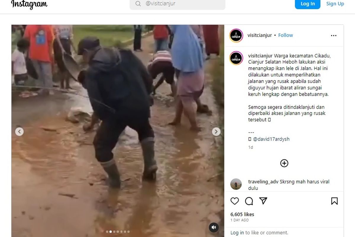 Warga Cianjur beramai-ramai menangkap ikan lele di kubangan jalan yang rusak sebagai bentuk sindiran dan kekecewaan terhadap buruknya infrastruktur jalan yang ada.