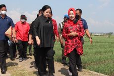 Saat Puan Maharani Turun ke Sawah dan Tandur Padi Maju