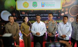 Mentan Amran Ingin Jadikan Maluku Utara Pusat Rempah Dunia